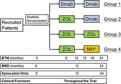 A Multi-Institutional Randomized Controlled Trial to Investigate Whether Zoledronate Prevents Bone Loss After Discontinuation of Denosumab: The Study Protocol of Denosumab Sequential Therapy (DST) Trial